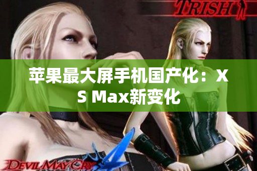 苹果最大屏手机国产化：XS Max新变化