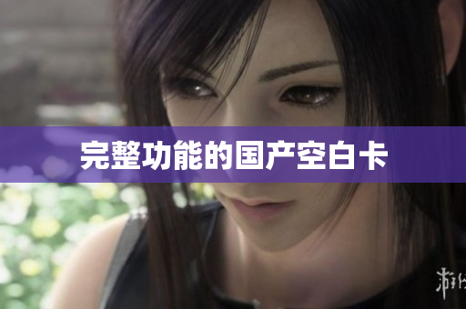 完整功能的国产空白卡