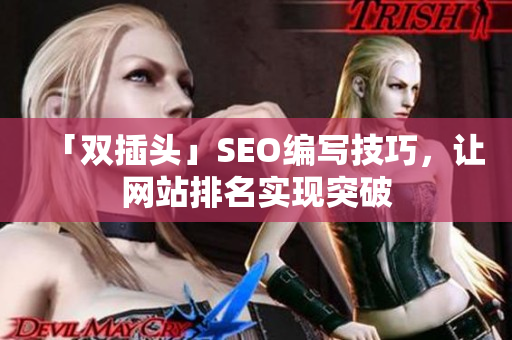 「双插头」SEO编写技巧，让网站排名实现突破