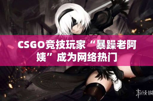 CSGO竞技玩家“暴躁老阿姨”成为网络热门