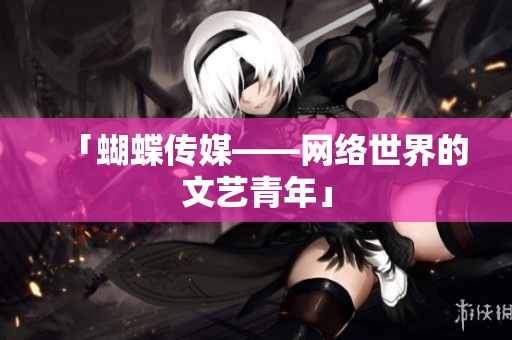 「蝴蝶传媒——网络世界的文艺青年」