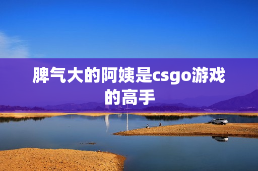 脾气大的阿姨是csgo游戏的高手