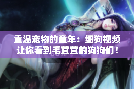 重温宠物的童年：细狗视频让你看到毛茸茸的狗狗们！