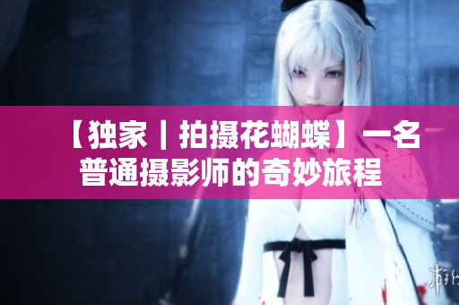 【独家｜拍摄花蝴蝶】一名普通摄影师的奇妙旅程