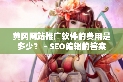 黄冈网站推广软件的费用是多少？ - SEO编辑的答案