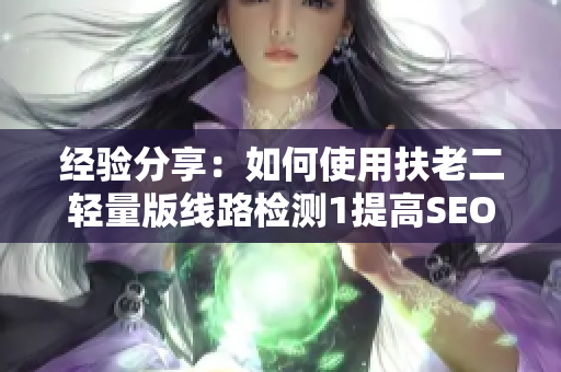 经验分享：如何使用扶老二轻量版线路检测1提高SEO效果