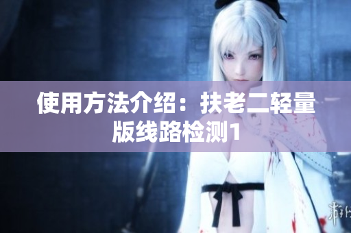 使用方法介绍：扶老二轻量版线路检测1