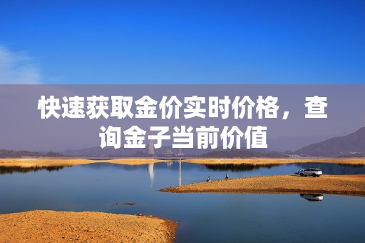 快速获取金价实时价格，查询金子当前价值