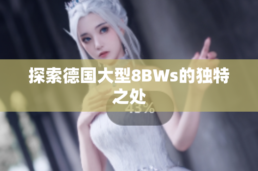 探索德国大型8BWs的独特之处