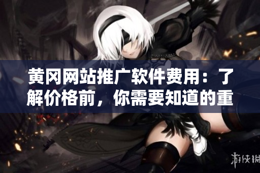 黄冈网站推广软件费用：了解价格前，你需要知道的重要事项