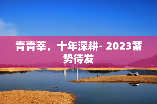 青青莘，十年深耕- 2023蓄势待发