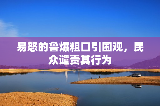 易怒的鲁爆粗口引围观，民众谴责其行为