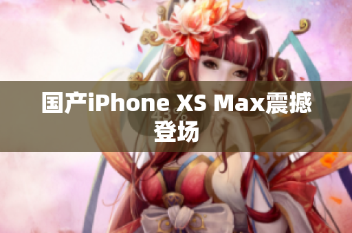 国产iPhone XS Max震撼登场