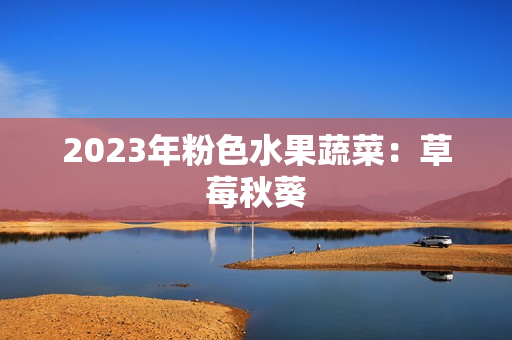 2023年粉色水果蔬菜：草莓秋葵