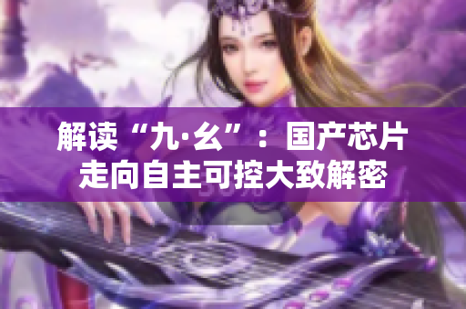 解读“九·幺”：国产芯片走向自主可控大致解密
