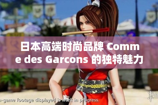 日本高端时尚品牌 Comme des Garcons 的独特魅力