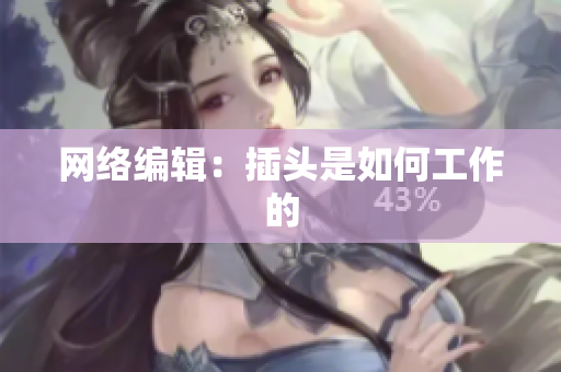 网络编辑：插头是如何工作的