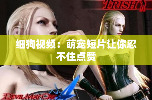 细狗视频：萌宠短片让你忍不住点赞