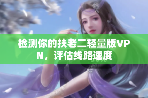 检测你的扶老二轻量版VPN，评估线路速度