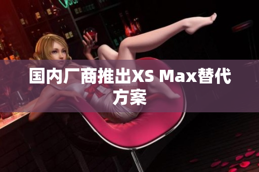 国内厂商推出XS Max替代方案
