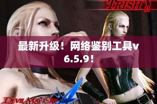 最新升级！网络鉴别工具v6.5.9！