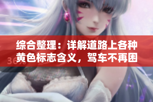 综合整理：详解道路上各种黄色标志含义，驾车不再困惑