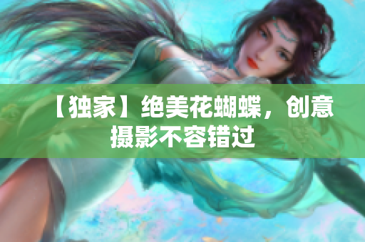 【独家】绝美花蝴蝶，创意摄影不容错过