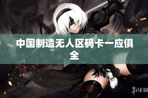 中国制造无人区码卡一应俱全