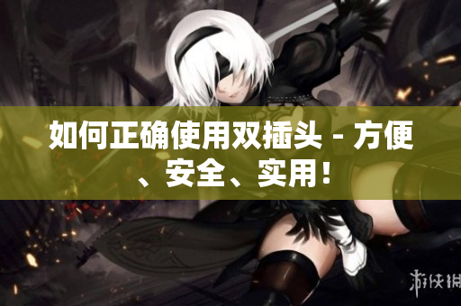 如何正确使用双插头 - 方便、安全、实用！