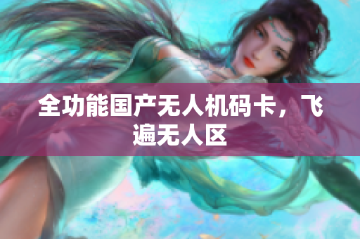 全功能国产无人机码卡，飞遍无人区