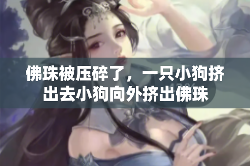 佛珠被压碎了，一只小狗挤出去小狗向外挤出佛珠