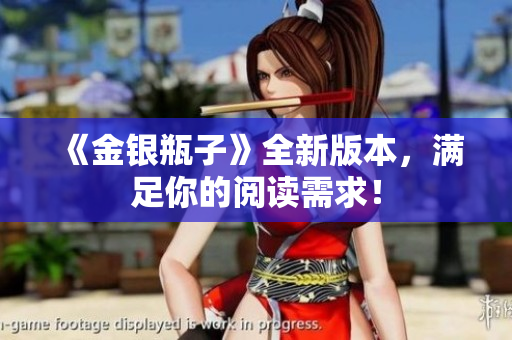 《金银瓶子》全新版本，满足你的阅读需求！