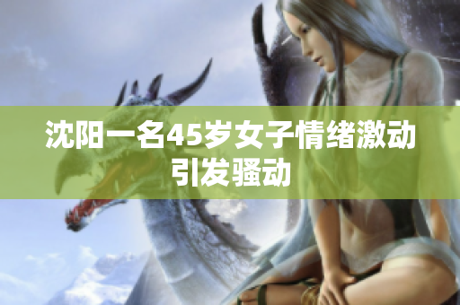 沈阳一名45岁女子情绪激动引发骚动