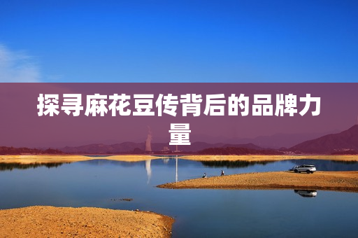 探寻麻花豆传背后的品牌力量