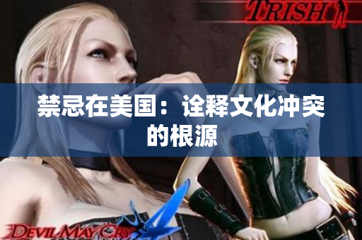 禁忌在美国：诠释文化冲突的根源