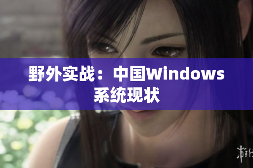 野外实战：中国Windows系统现状