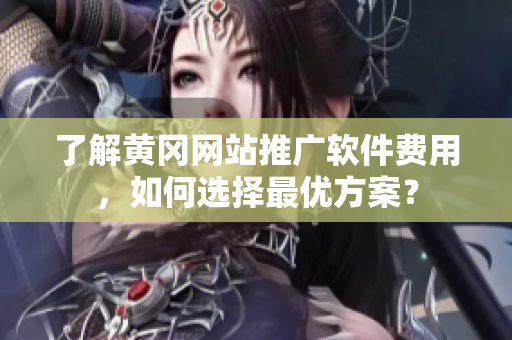 了解黄冈网站推广软件费用，如何选择最优方案？