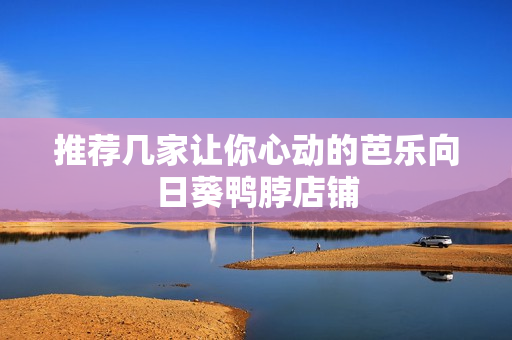 推荐几家让你心动的芭乐向日葵鸭脖店铺