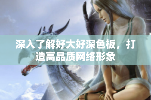 深入了解好大好深色板，打造高品质网络形象
