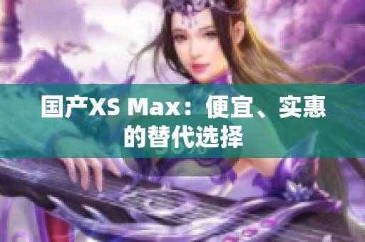 国产XS Max：便宜、实惠的替代选择
