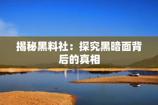 揭秘黑料社：探究黑暗面背后的真相