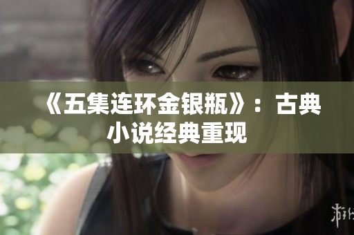 《五集连环金银瓶》：古典小说经典重现