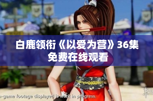 白鹿领衔《以爱为营》36集 免费在线观看