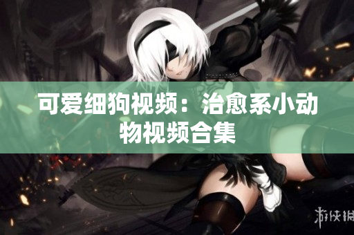 可爱细狗视频：治愈系小动物视频合集