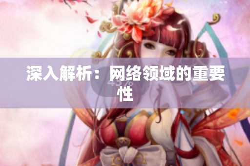 深入解析：网络领域的重要性