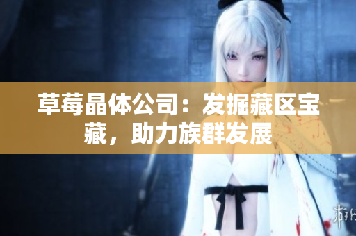 草莓晶体公司：发掘藏区宝藏，助力族群发展