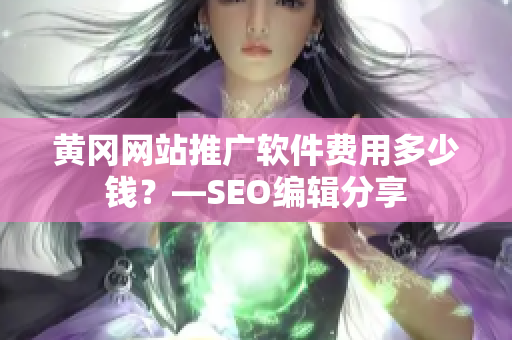 黄冈网站推广软件费用多少钱？—SEO编辑分享