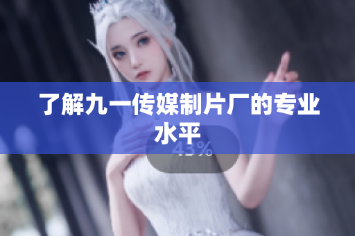 了解九一传媒制片厂的专业水平