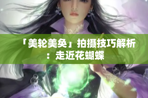 「美轮美奂」拍摄技巧解析：走近花蝴蝶