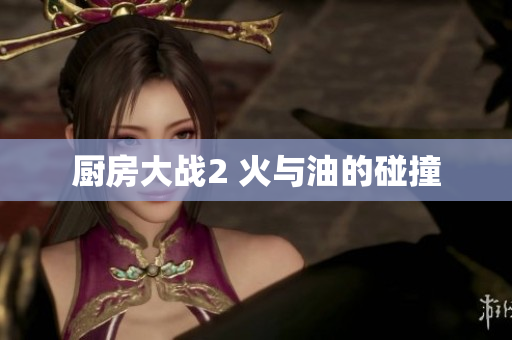 厨房大战2 火与油的碰撞